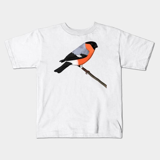 Bullfinch Bird Illustration Bird Watching Kids T-Shirt by jzbirds